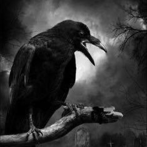 Meet your Posher - Picture 5 of 7